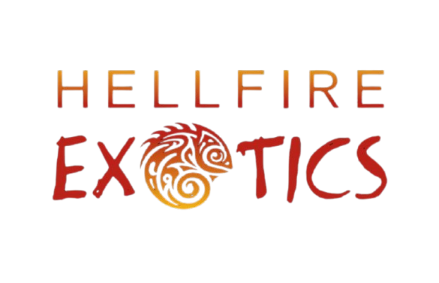 Hell Fire Exotics